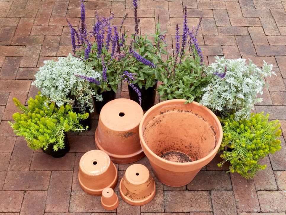 4 Pointers When Choosing Which Pots To Use For Your Plants