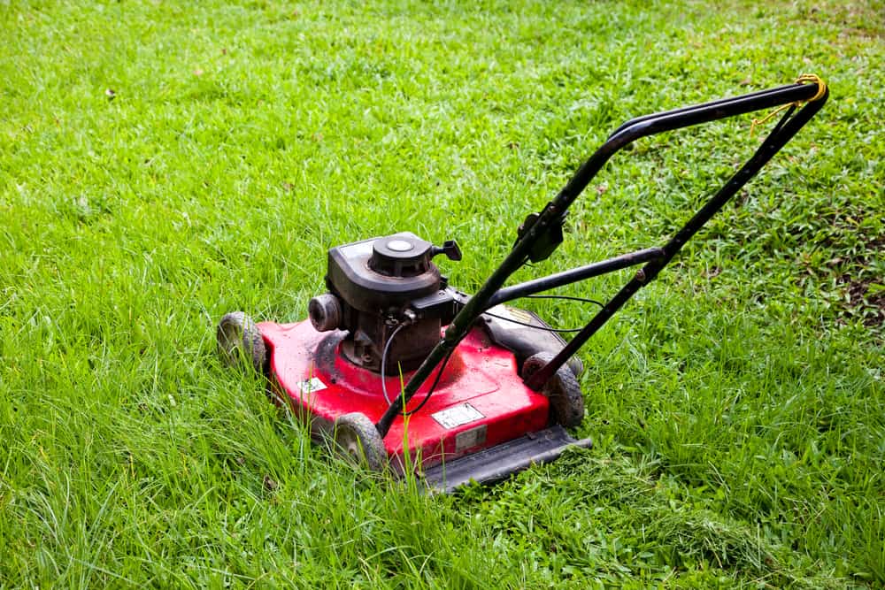 5 Tips That Will Keep Your Lawn Mower in Top Shape