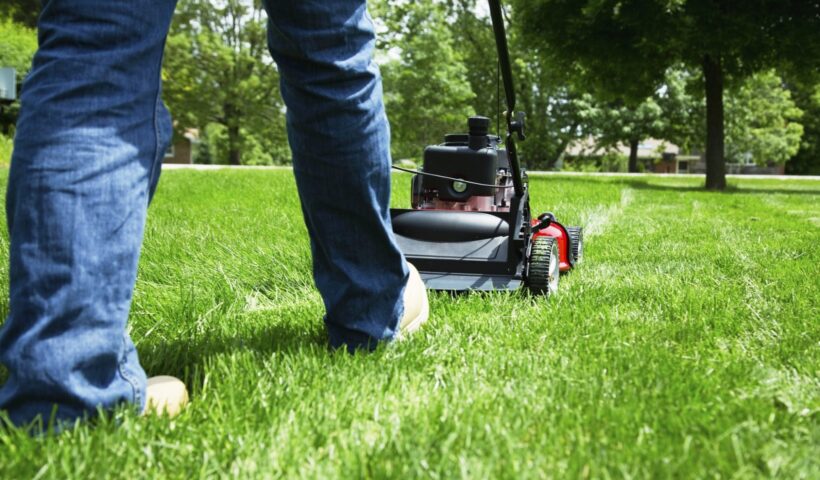 Lawn Care Services in West Fargo