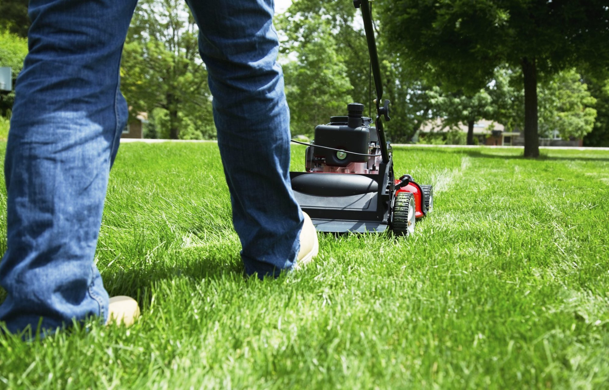 Lawn Care Services in West Fargo